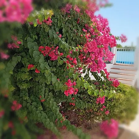 Casa Susana Hébergement de vacances Santa Eulària des Riu