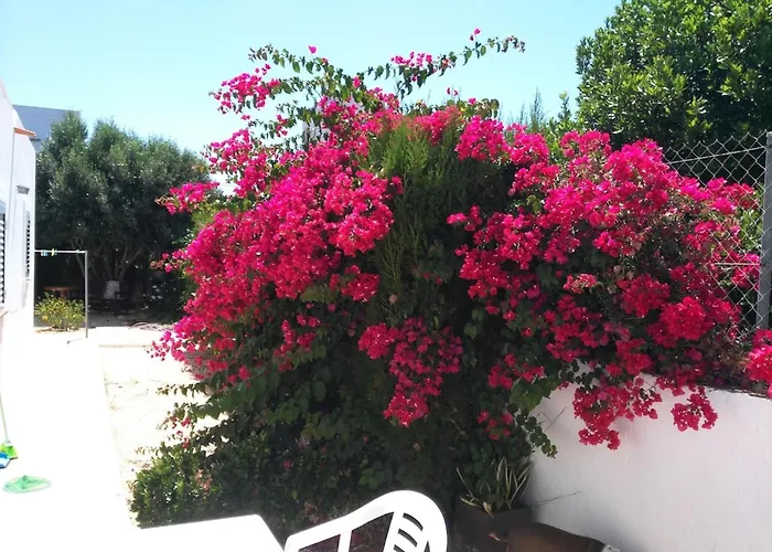 Hébergement de vacances Casa Susana *