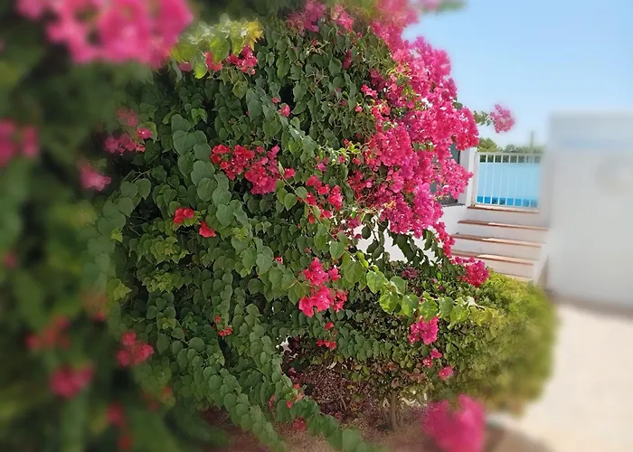 Casa Susana Hébergement de vacances Santa Eulària des Riu