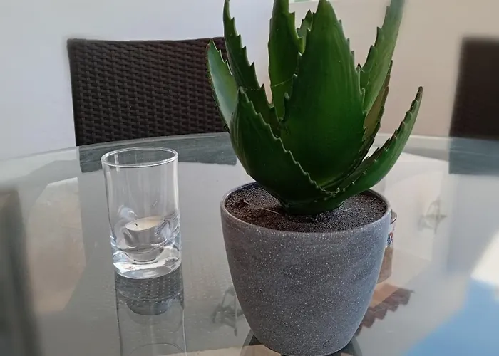 Hébergement de vacances Casa Susana