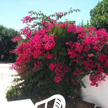 Σπίτι διακοπών Casa Susana *