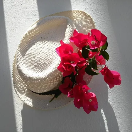 Casa Susana Vakantiehuis *
